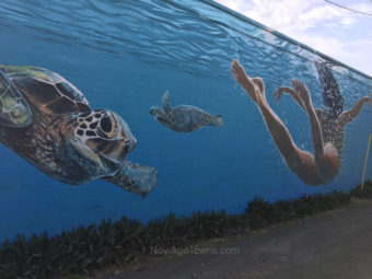 Paia Mural - Swimming Away