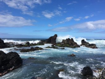 Ho'okipa Park Surf, Maui, HI