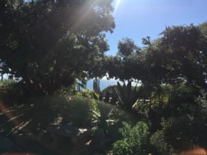 Yogananda's SRF Meditation Garden - Encinitas