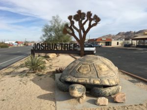 Joshua Tree Sign With Turtle