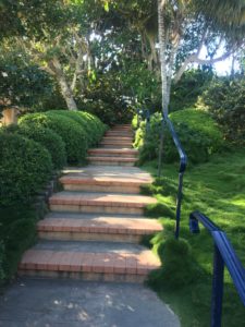 Stairs to Meditation Garden - SRF - Encinitas
