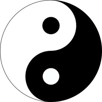 The Yin And The Yang