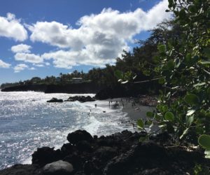 Puna – The Big Island